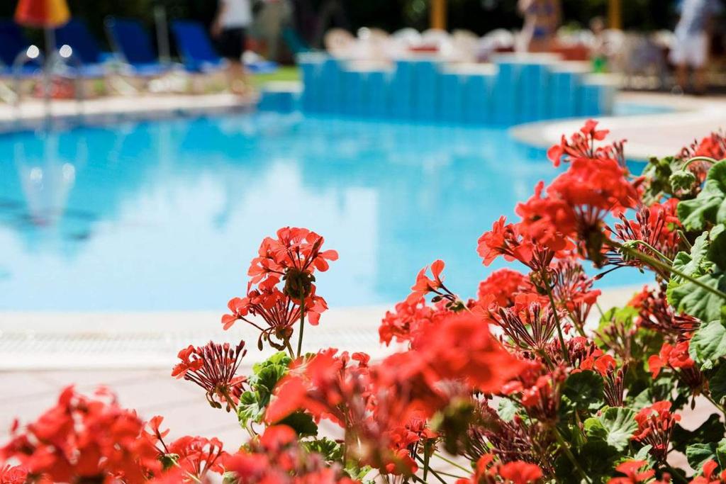 Begonville Apart Hotel — Swimming pool in Side