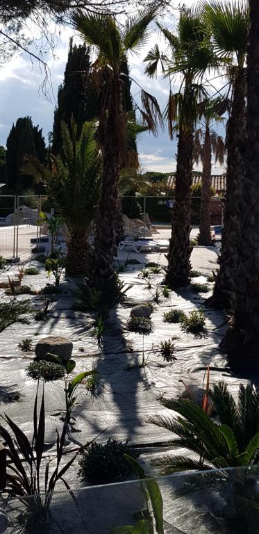 Les mobilhomes helvétiques 4 étoiles Mar Estang Canet en Roussillon - 4