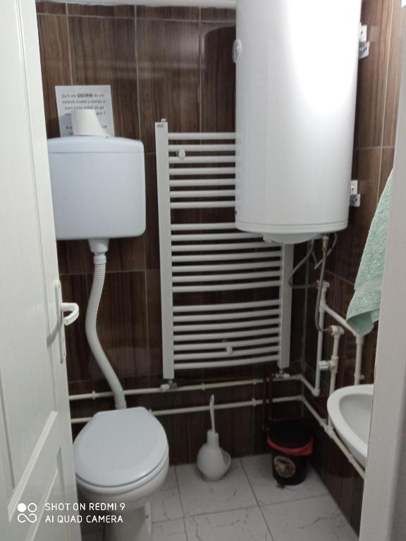 Guest House Vila Banjica photo