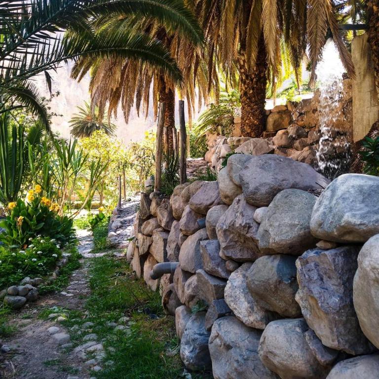 Paraiso Las Palmeras Lodge photo