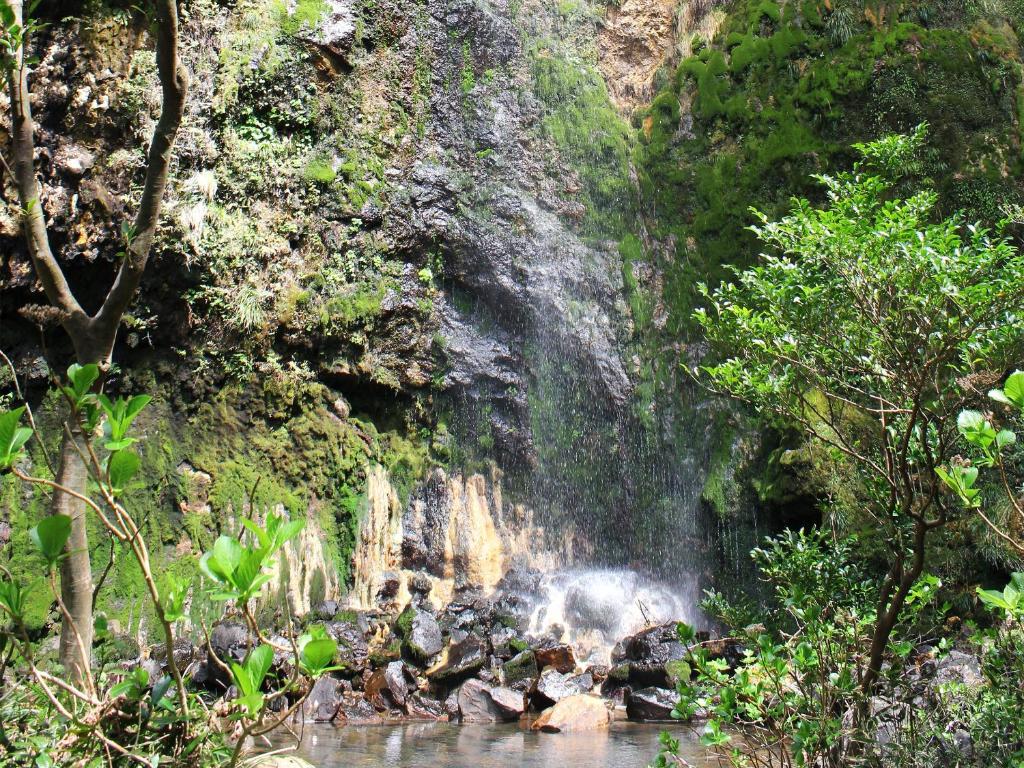 Mantenbo photo