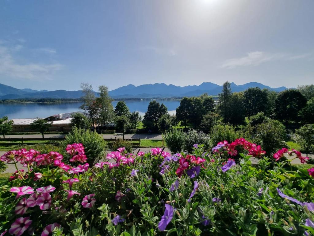 Landhaus Amberg Hopfen am See // Hopfensee // Füssen - 2
