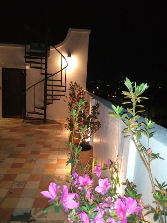 Hotel La Casa de las Libelulas photo
