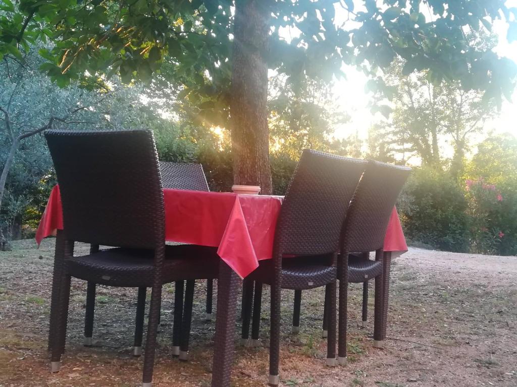 La Casa Di Famiglia - 4