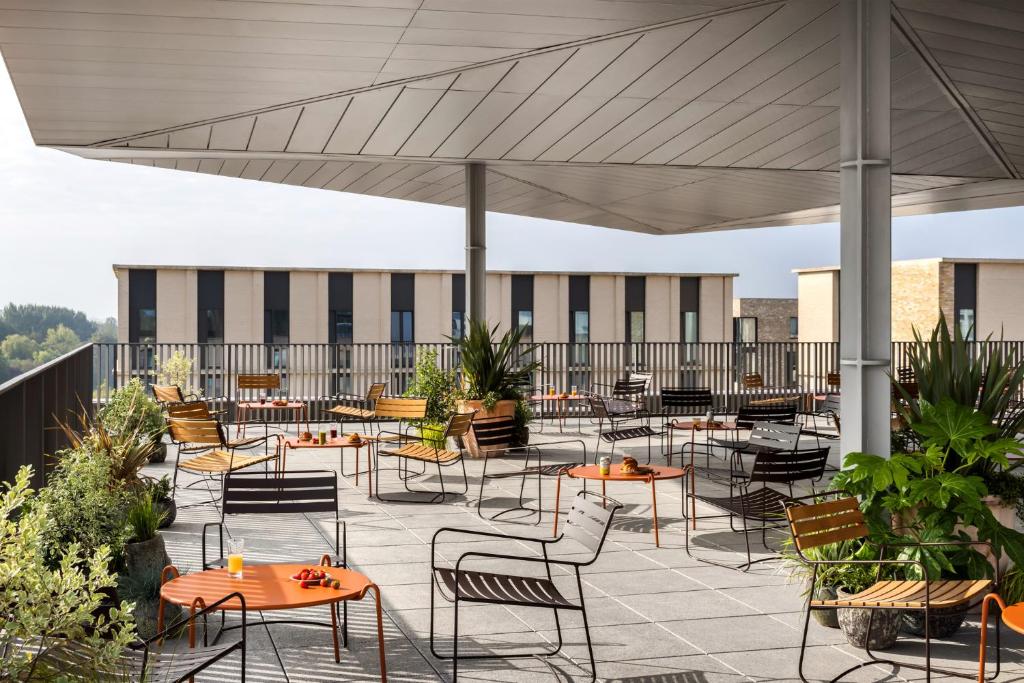 Ảnh 5