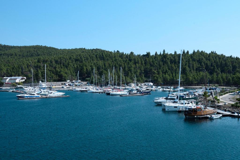 Surrounding environment