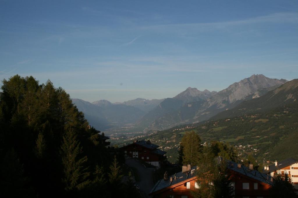 Mountain view cosy, comfortable 1 bed-room Luxury Appartment Crans-Montana - 3