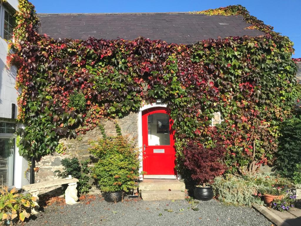 The Byre (Unusual and Different)., Dromore