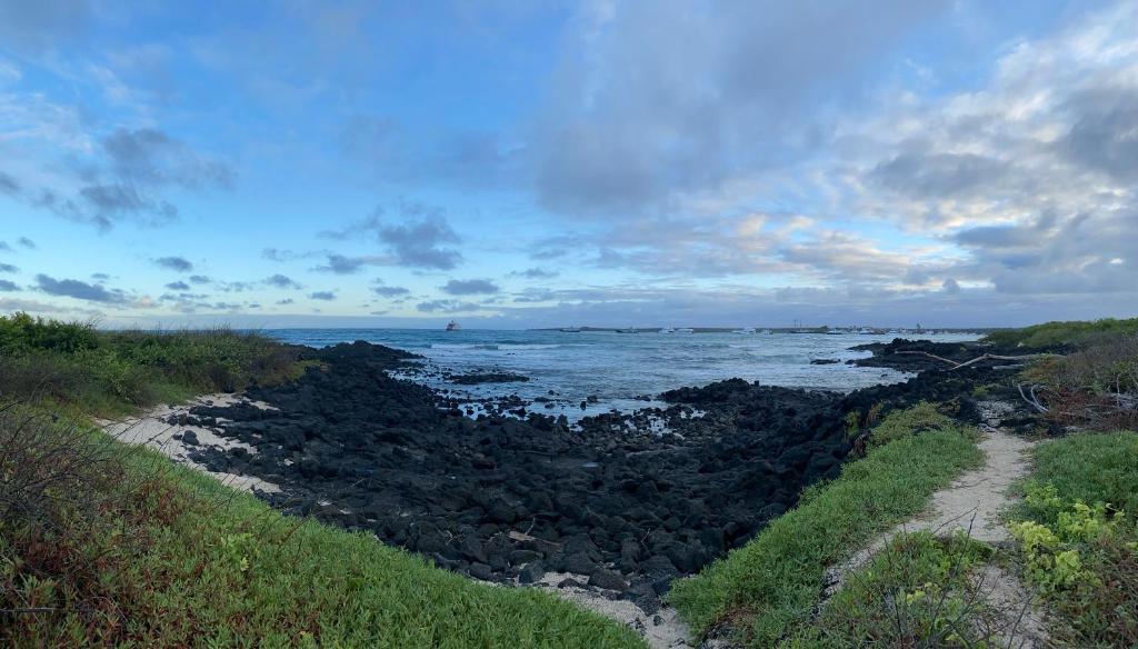 La Peregrina Galapagos B&B photo