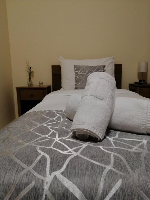 Apartmani CENTAR- Smederevo photo