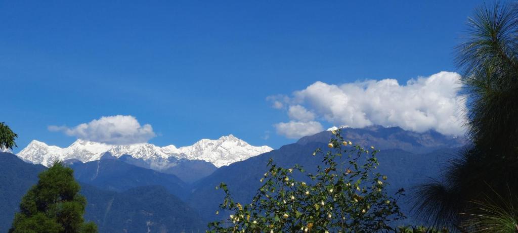 Mochilero Ostello — Hotel in Pelling