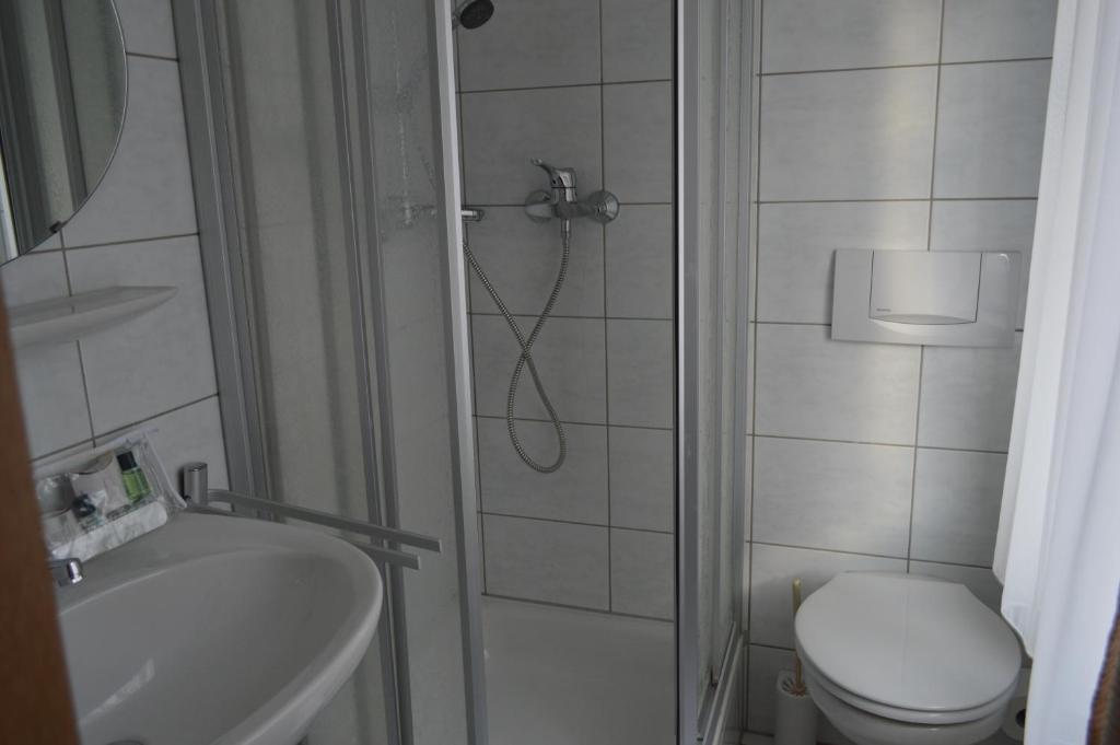Gasthof Hotel Lowen photo