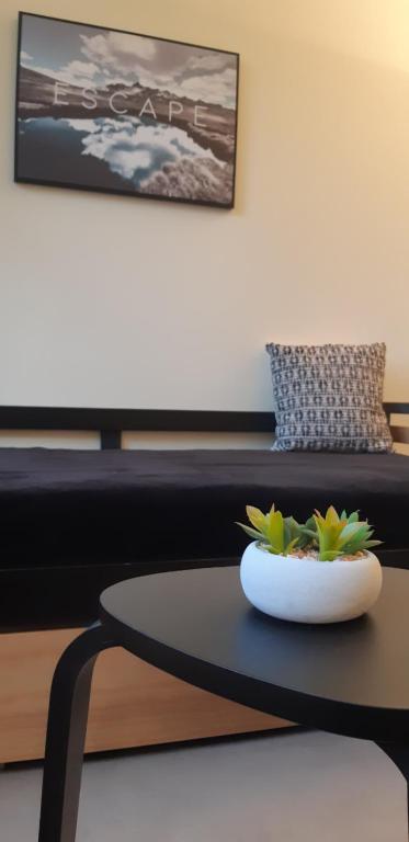 Grenoble hyper-centre + WiFi + Netflix - 2