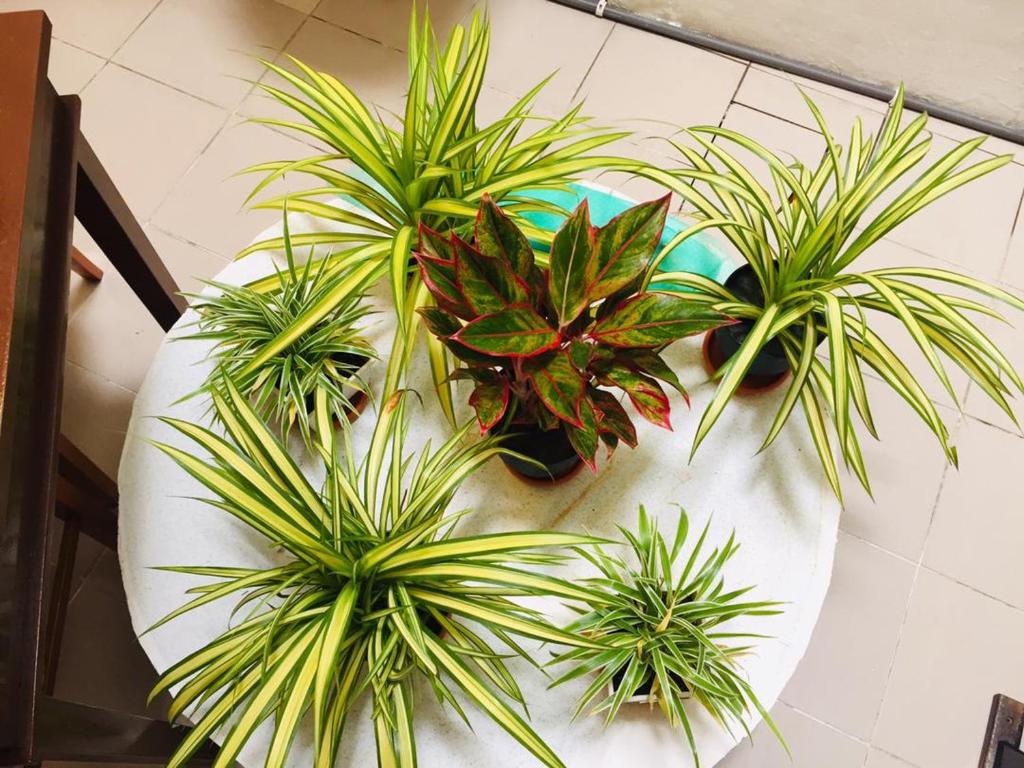 Travellers Diary Guesthouse photo