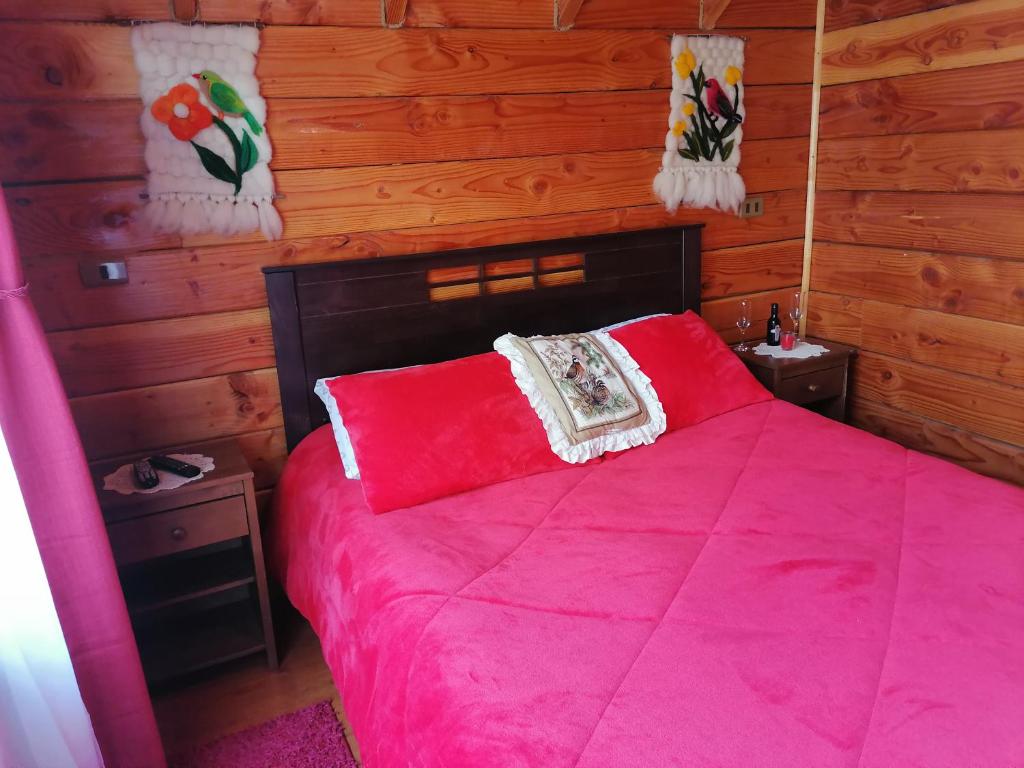 Cabañas El Diuco en Coñaripe 4 - 3