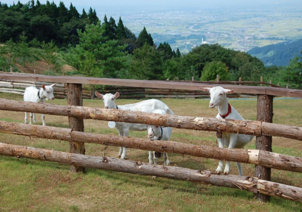 Facilities