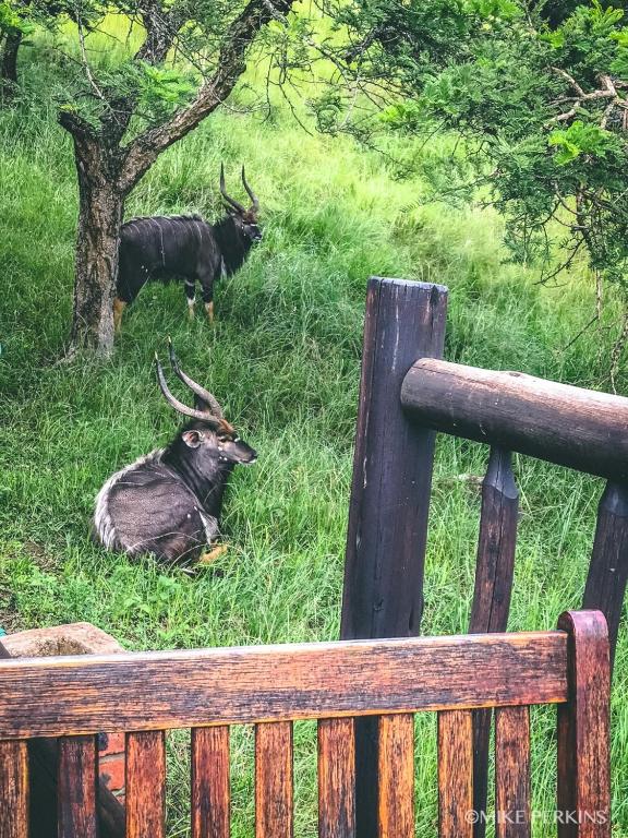 Bonnie View Game Lodge photo