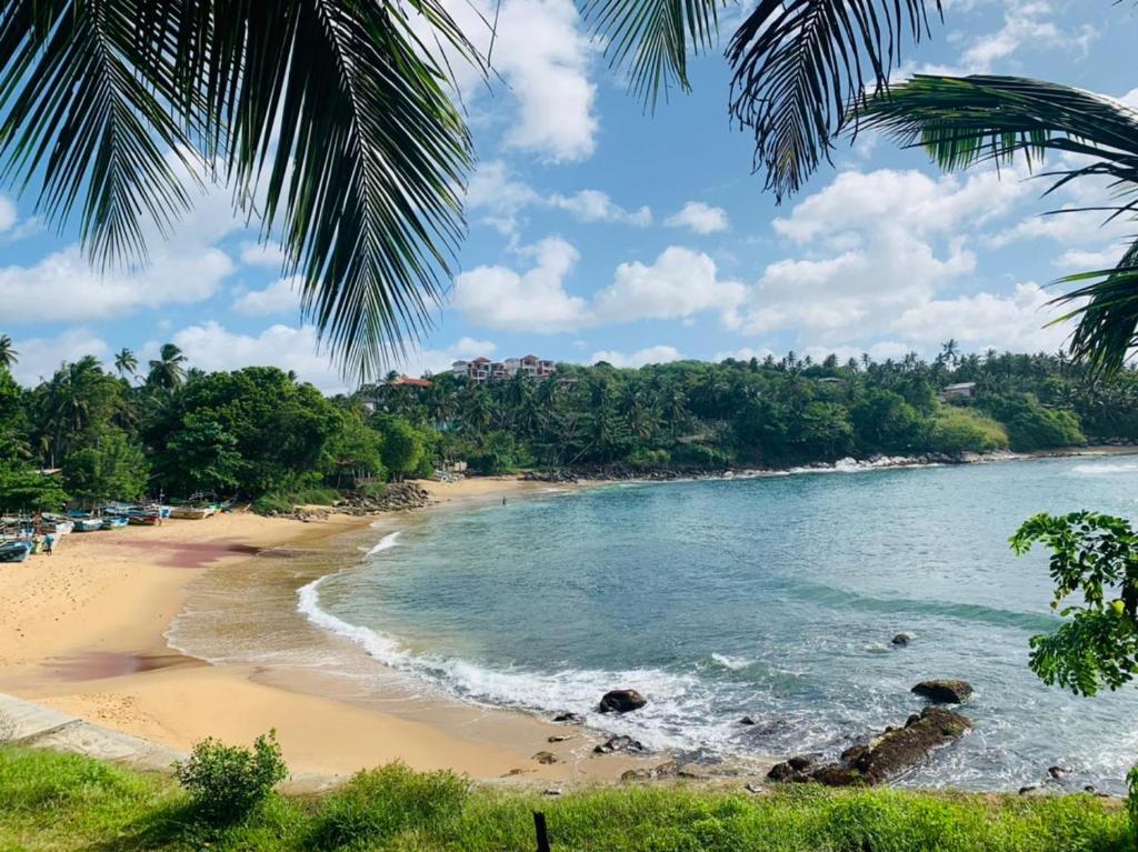 Surf Paradise, Tangalle