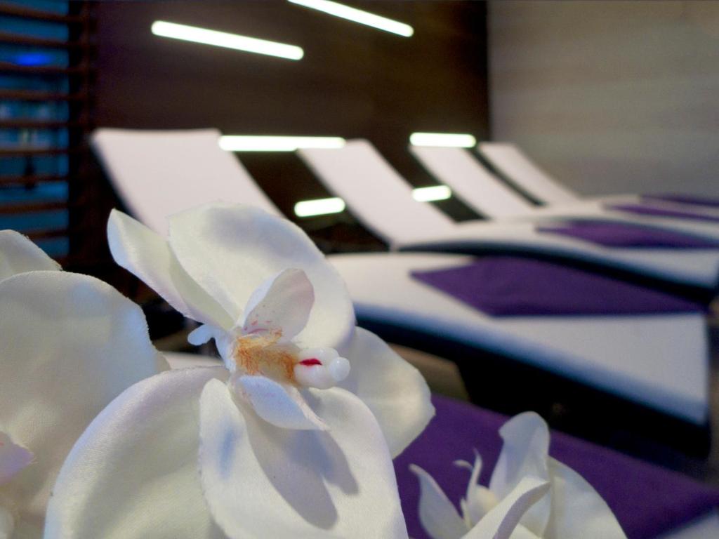 Hotel Adria — Spa in Dubrovnik, Dubrovnik-Neretva