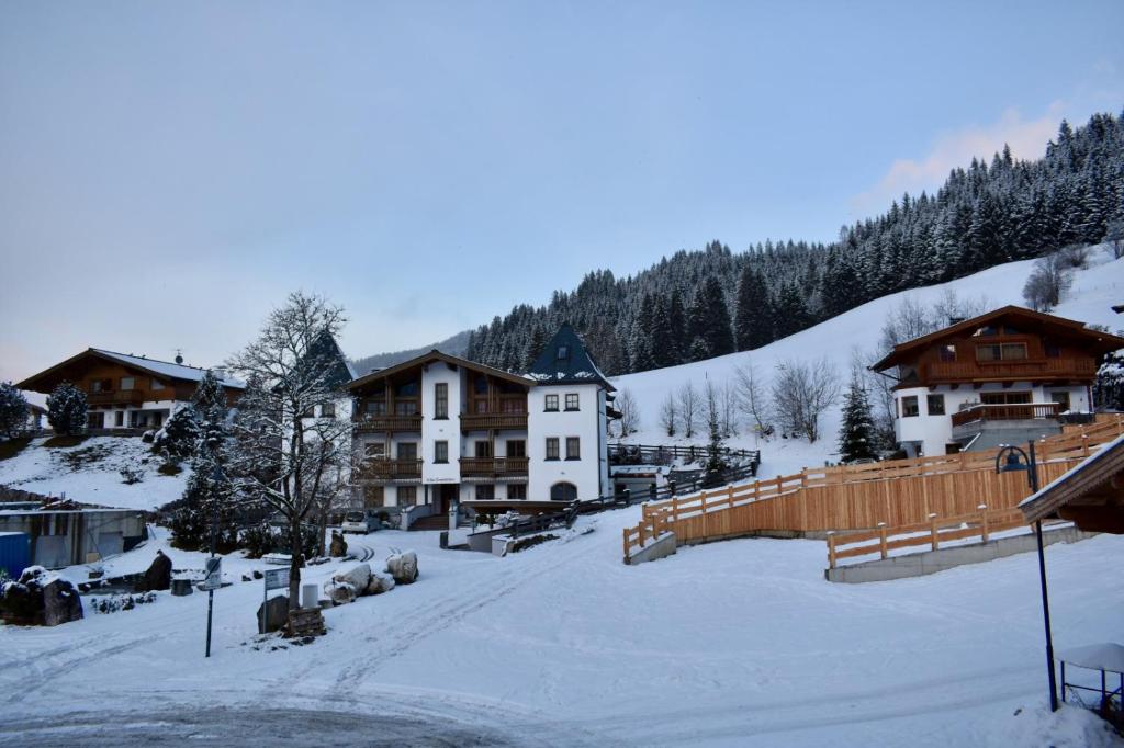 Appartements Fritzhof - 2