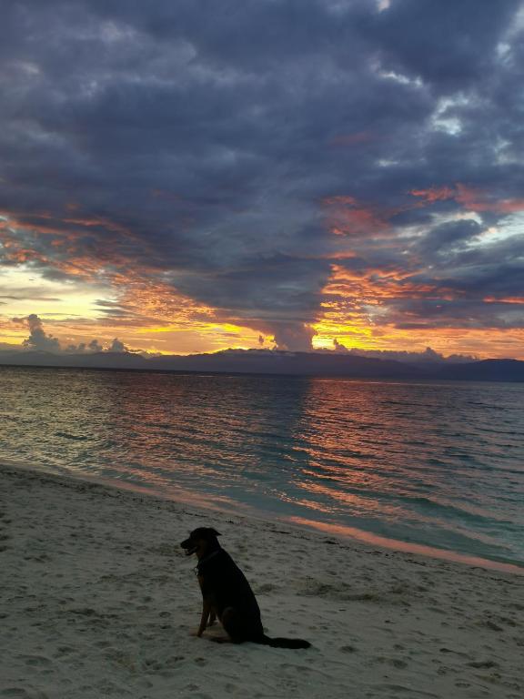 Ravenala Resort photo