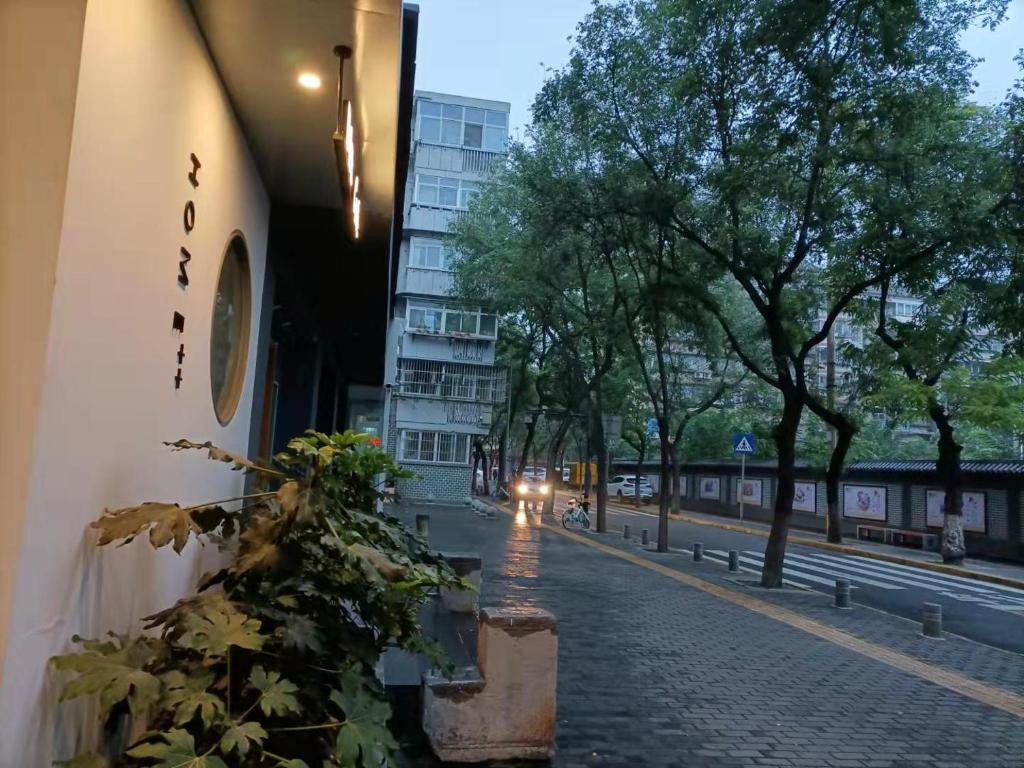 外觀