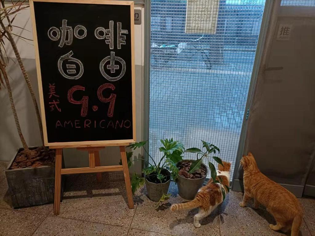 外觀
