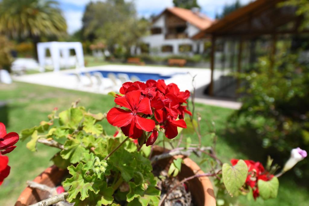 Quinta La Constanza — Hotel in Quito
