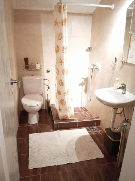 Apartman Zvezdara photo