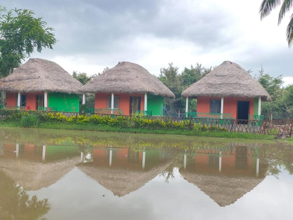Nature Camp Bhitarkanika Retreat photo