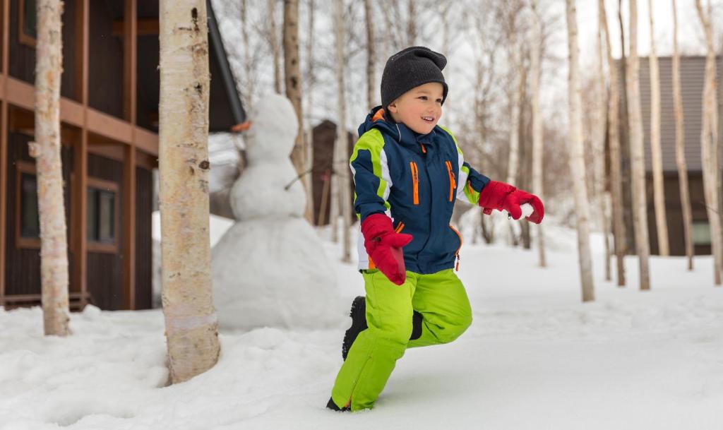 Country Resort Niseko photo