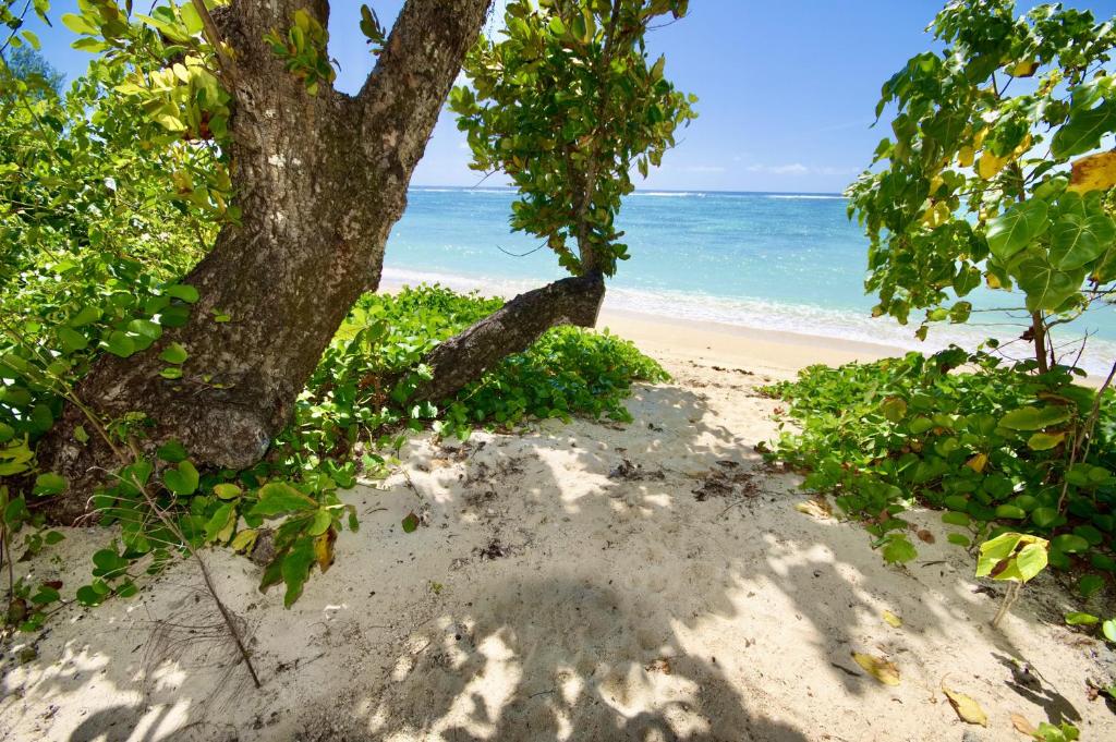 Bacova Sur Mer by Le Domaine de Bacova photo