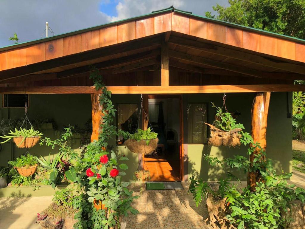 View, Casa Haydee Monteverde in Monteverde