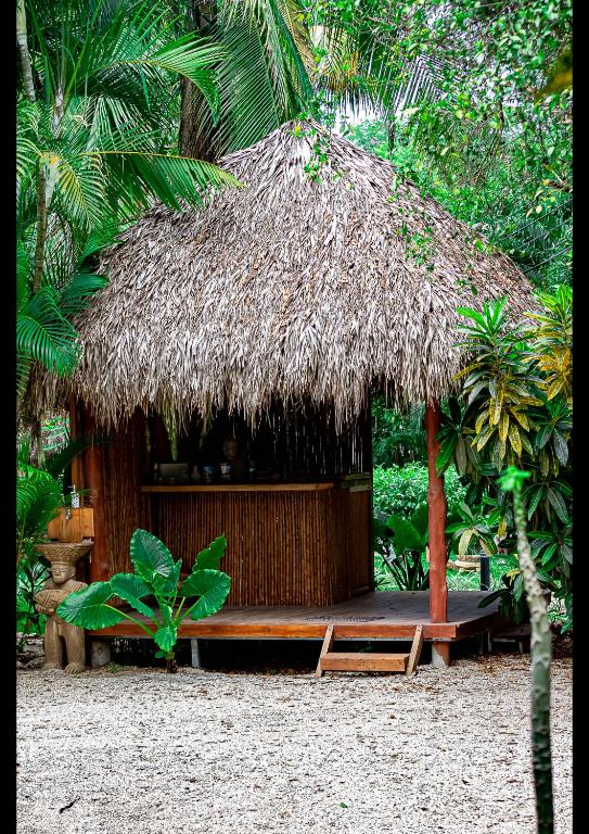 Villas Pura Vibra photo