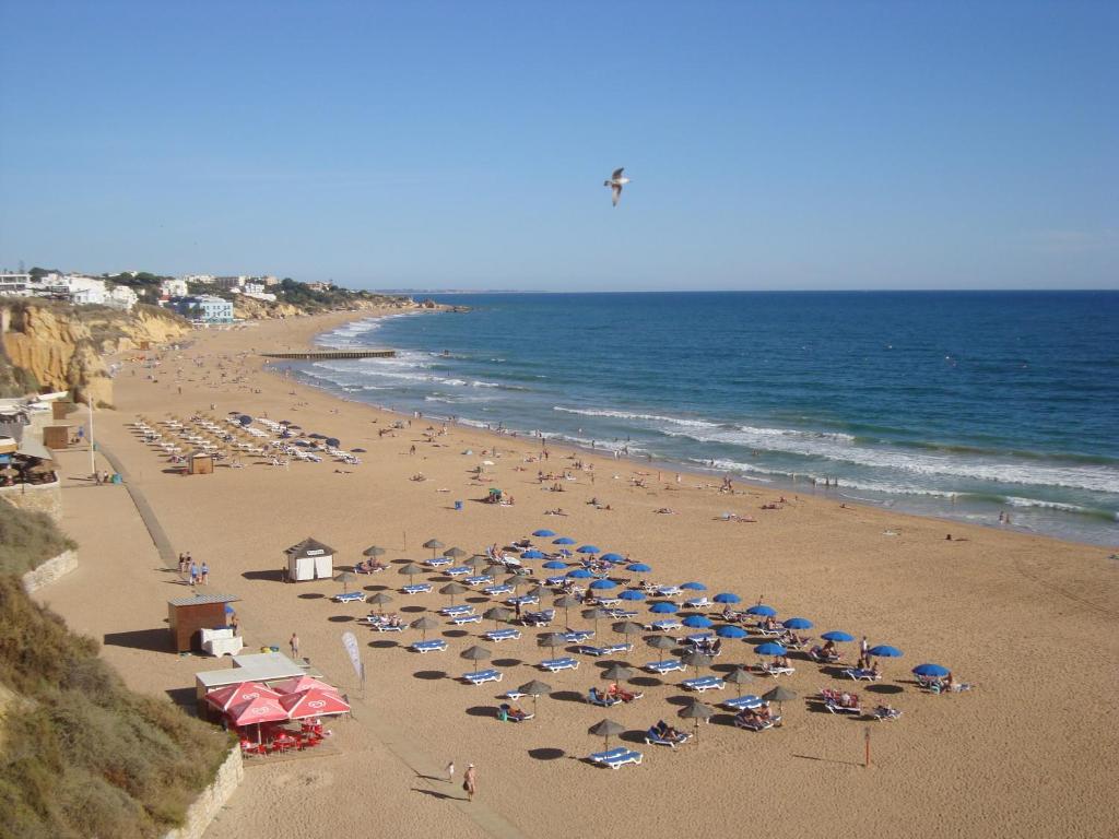 Vila Algarvia Boutique & Suites photo