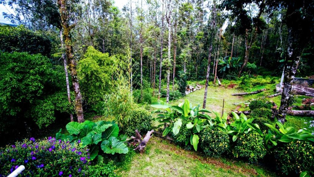 Memories of Malnad photo