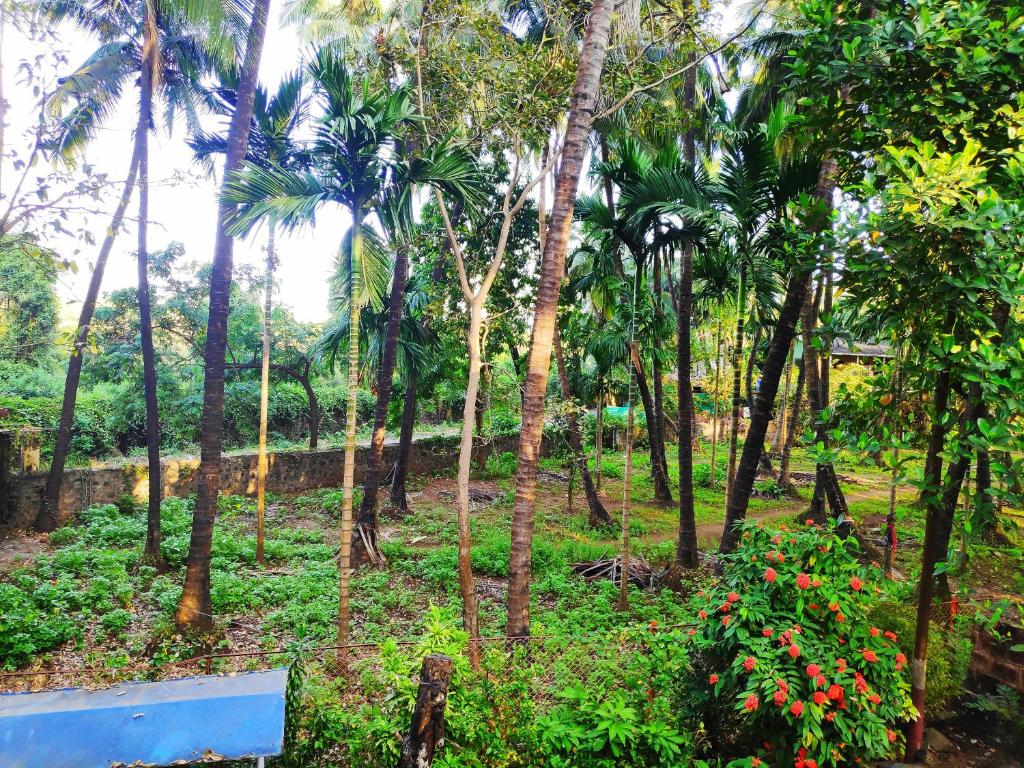 Ashish Baug Cottage photo
