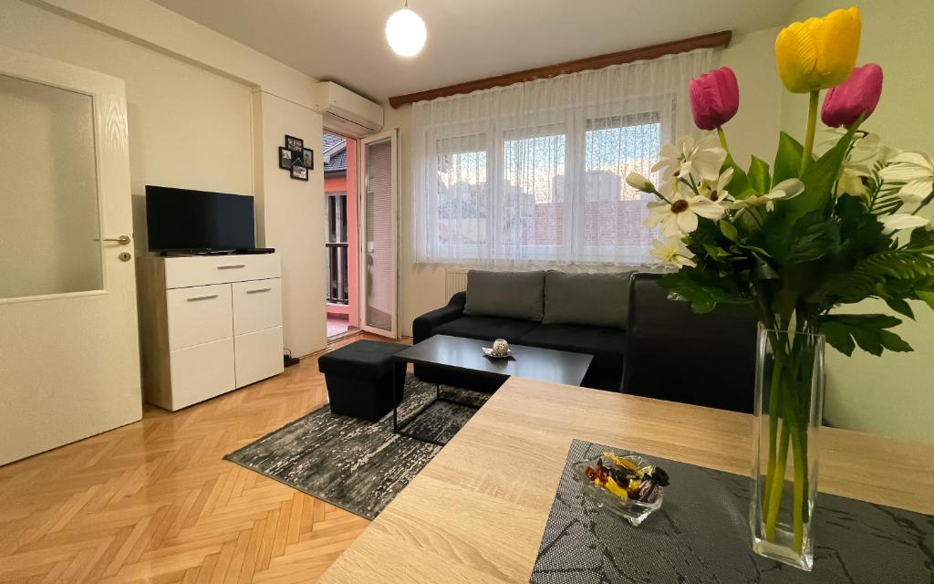 Apartman Central, Bijeljina