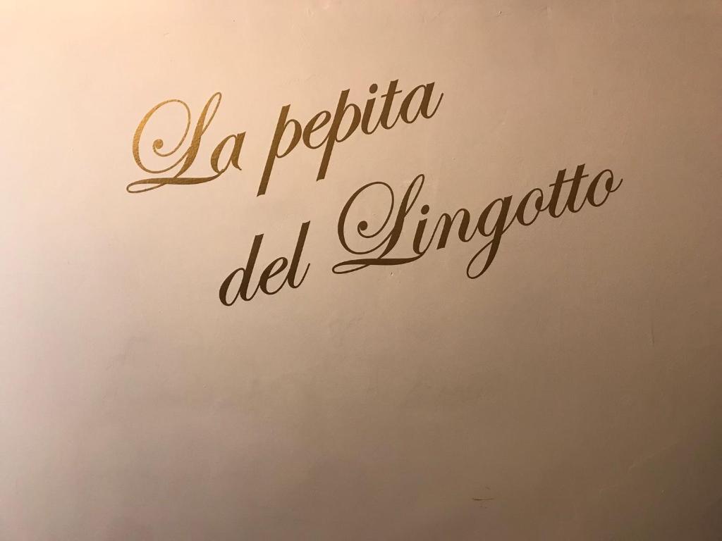 La pepita del Ling8, Turin