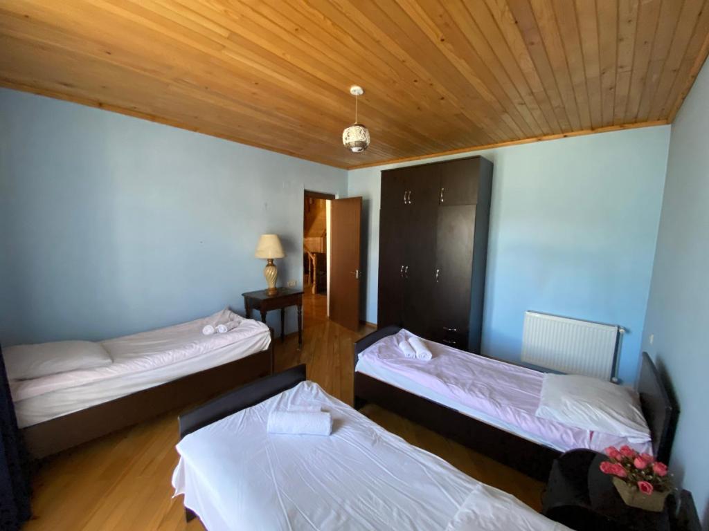 Manana Japaridze's Guesthouse photo
