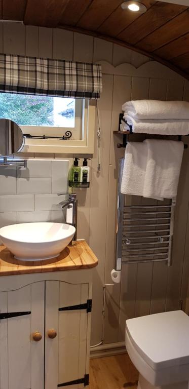 Elmdale Hut - Shepherds Hut photo