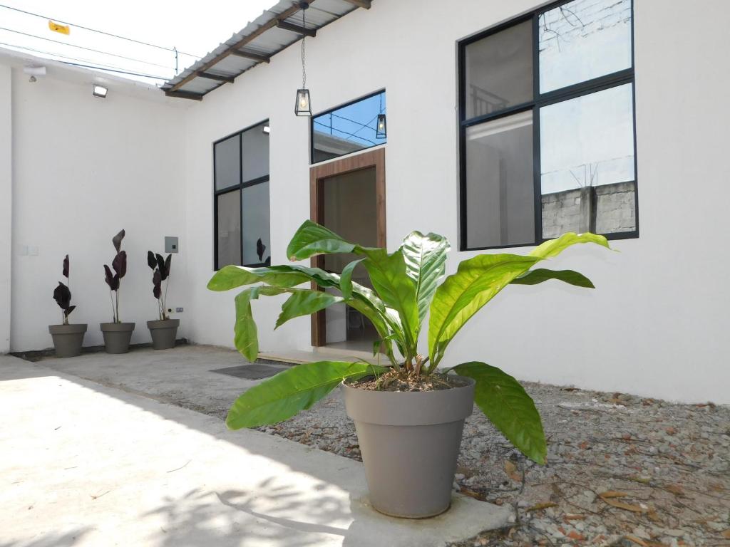 Loft All in one- Workspace- comfort & Huge garage - 2