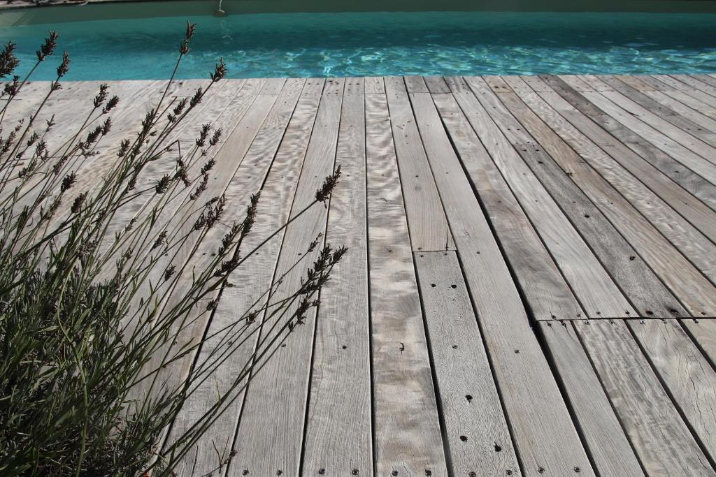 La Vela - 4