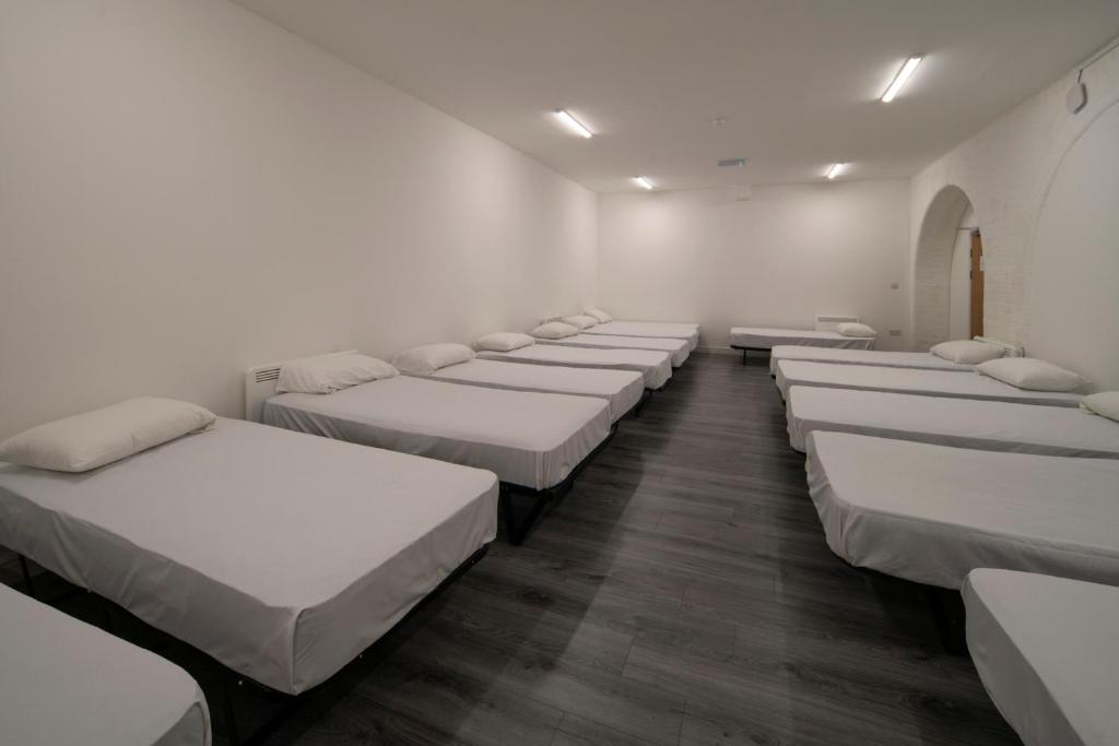 Single bed in 15-Bed Mixed Dormitory