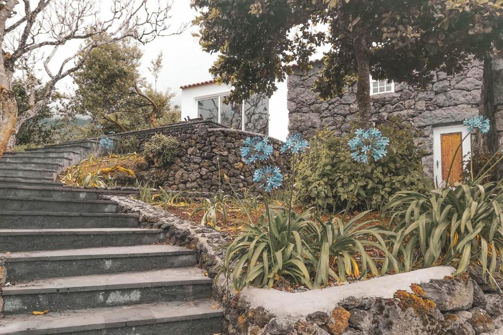 Adegas do Pico Hotel 514262087 photo