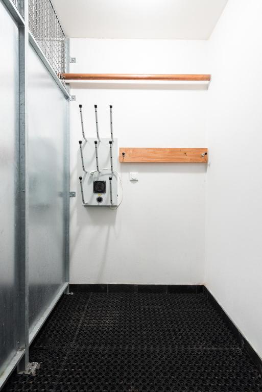 Sports and activities