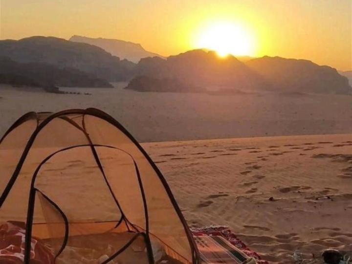 Hala rum luxury camp photo