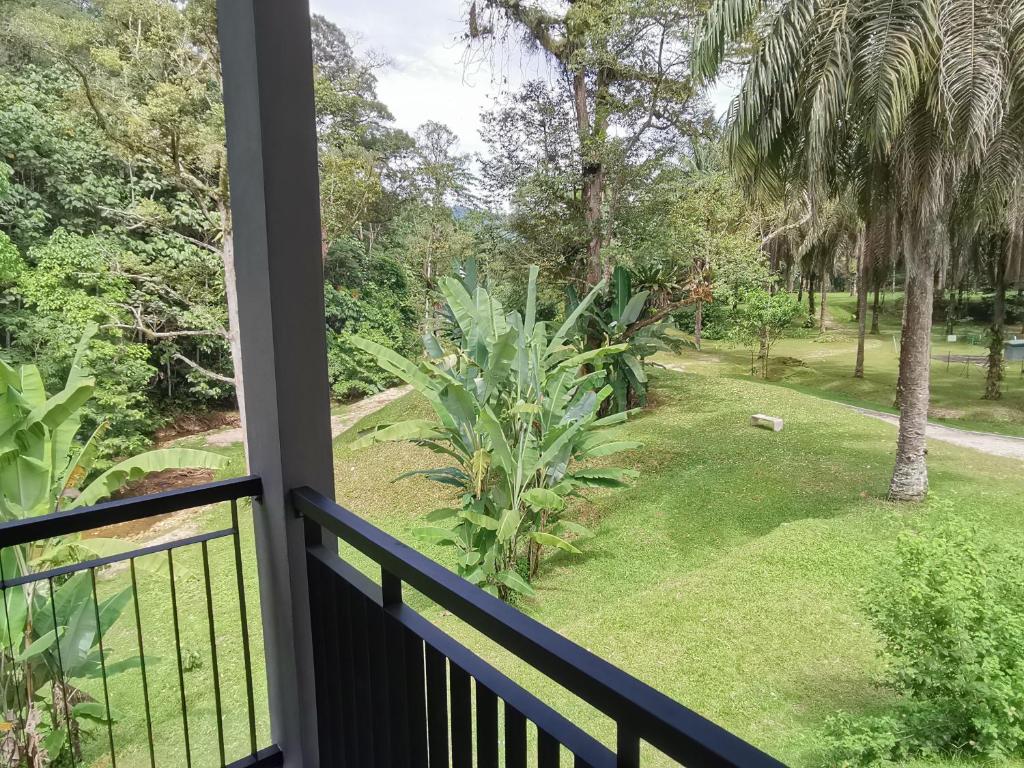 Surrounding environment