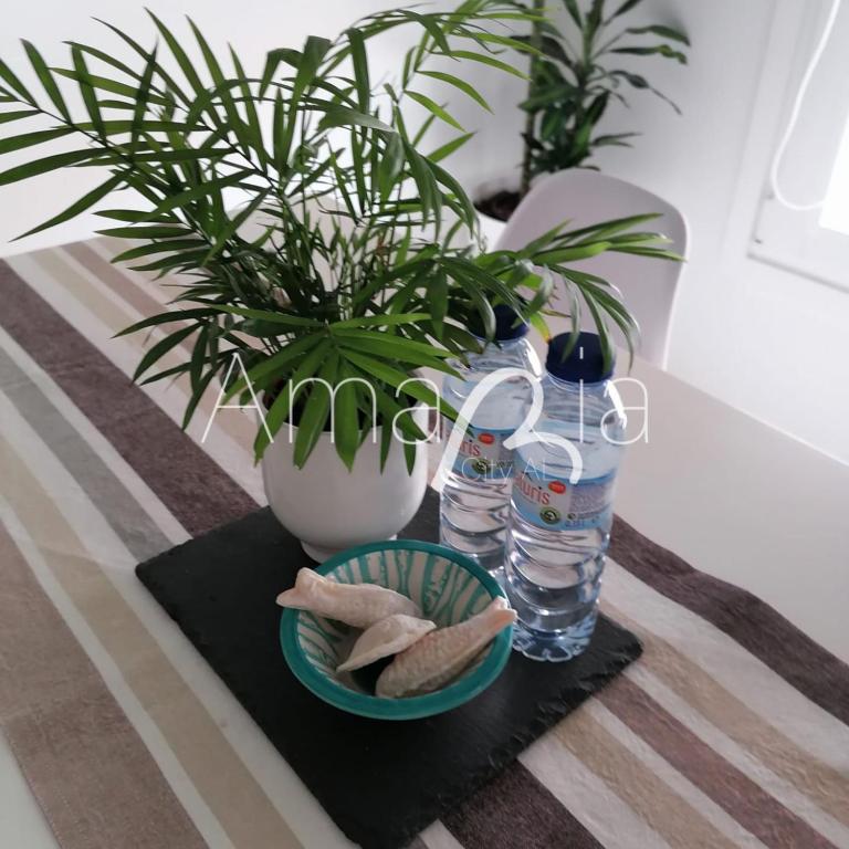 AmaRiaCity AL, Aveiro