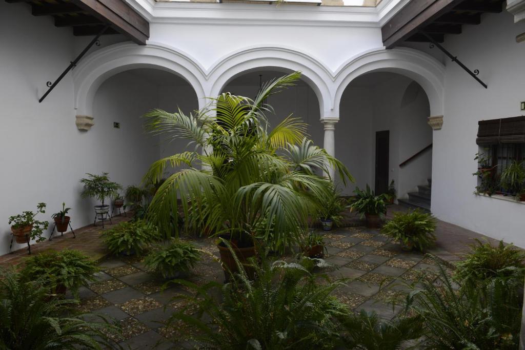 CASA PALACIO LAS PALOMAS - 5